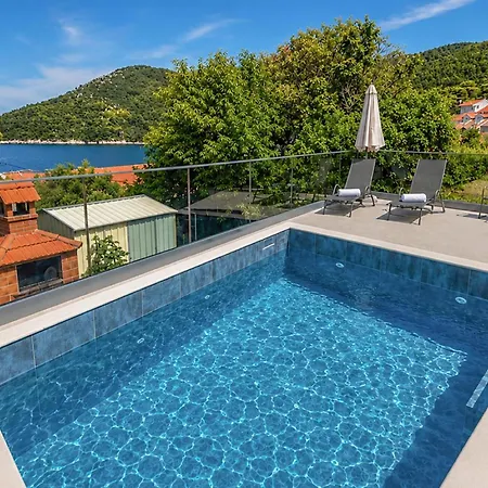 Pet Friendly In Brna