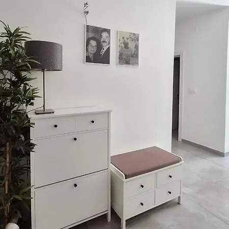 Pet Friendly In *